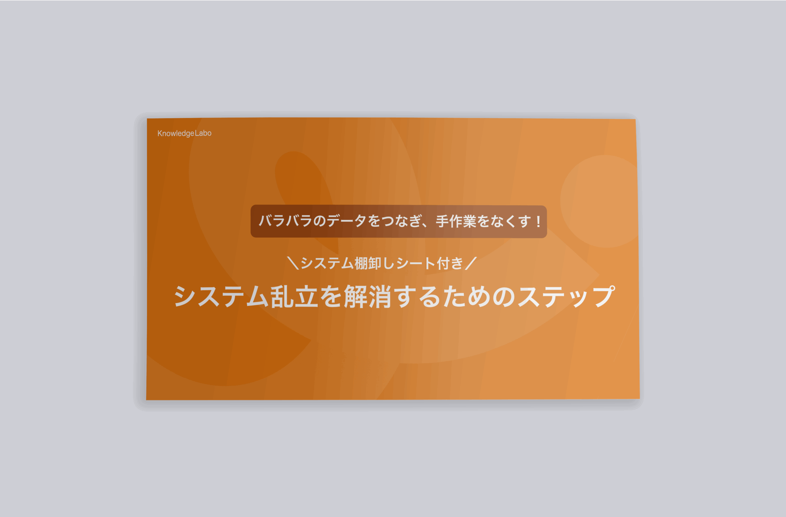BPWP_システム乱立を解消するためのステップ